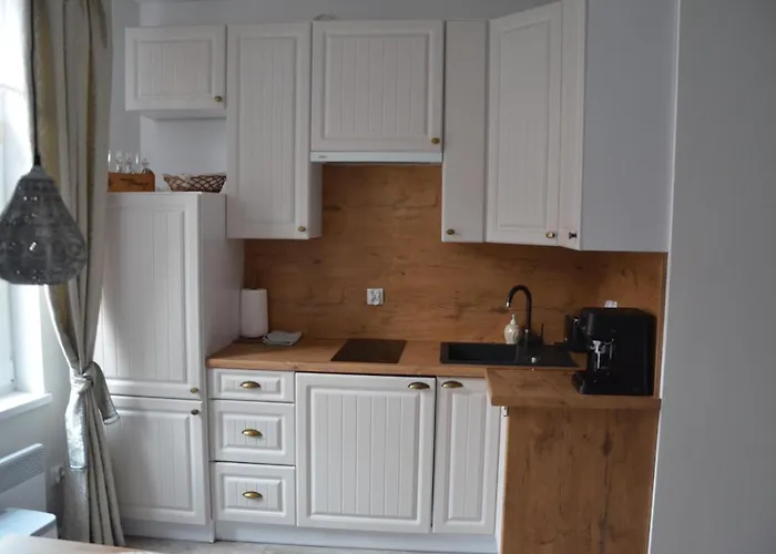 Apartament Kominkowy Przy Parku
