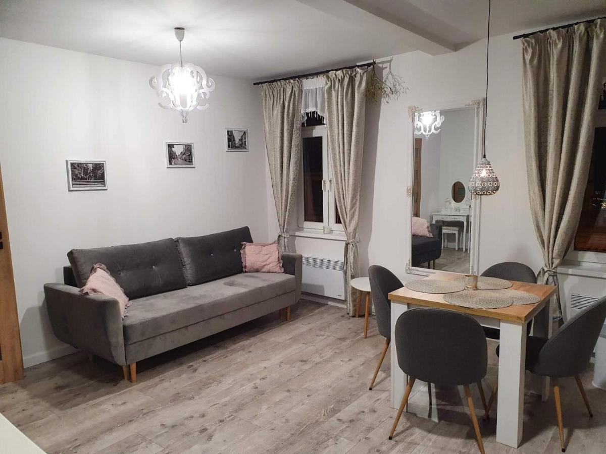 Kominkowy Przy Parku Apartment *